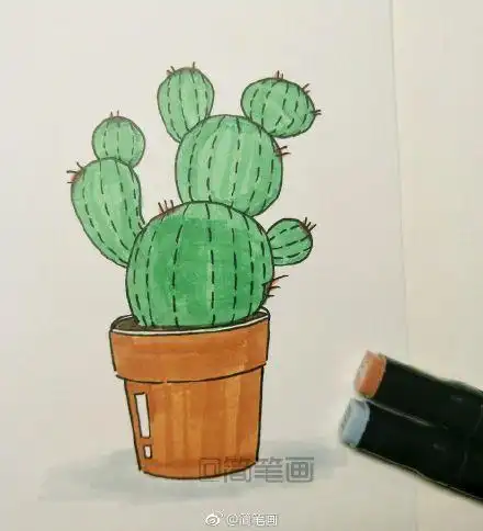 仙人球盆栽植物简笔画