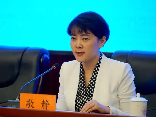 图为成都市人民政府副市长敬静.