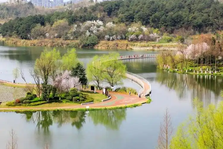 贵安樱花园,月亮湖公园,阅山湖公园等景点旅游攻略 - 贵阳市人民政府