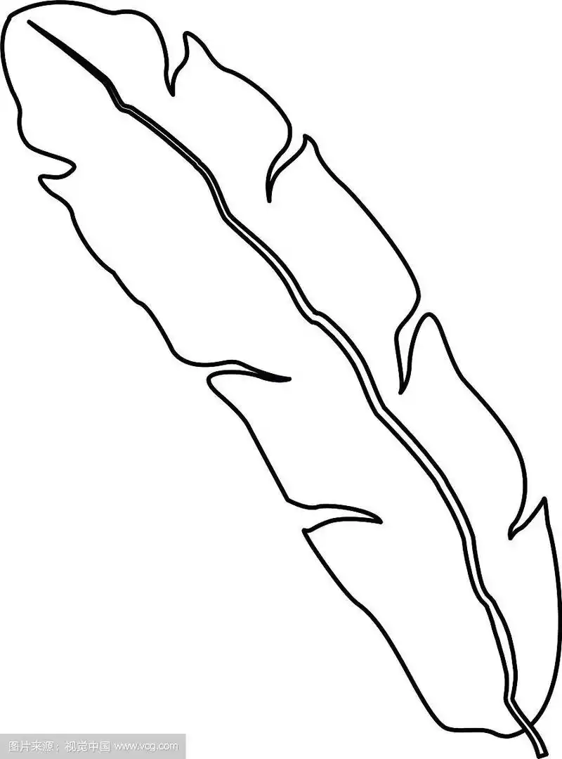 芭蕉叶装饰的热带树叶图标