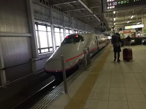 2大2小慢游日本-东京/仙台篇