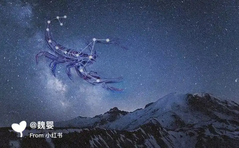 天蝎座71有同一天生日的嘛