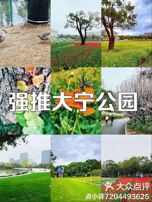 上海大宁公园全攻略!这个隐藏在大城市中的-大众点评