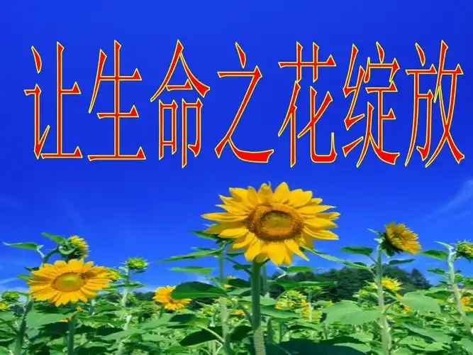 让生命之花绽放课件