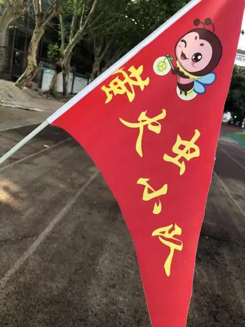 这是我们的队旗,好看不?