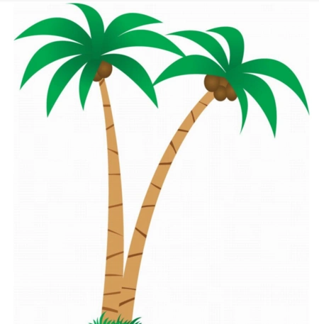 简笔画椰子和树配什么颜色