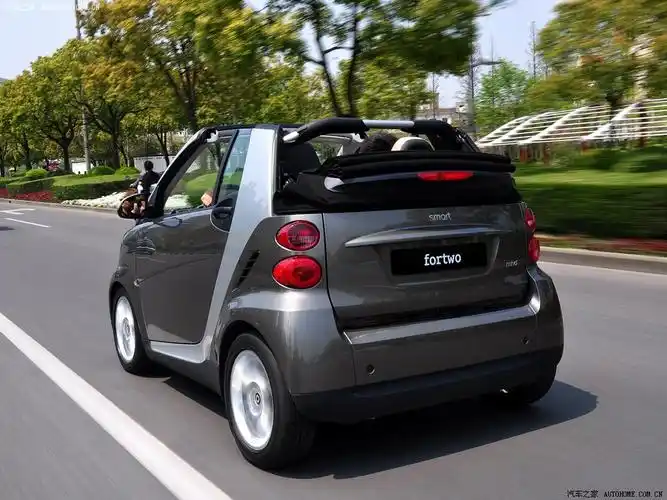 smart smart fortwo 2009款 1.0 mhd 敞篷 style版