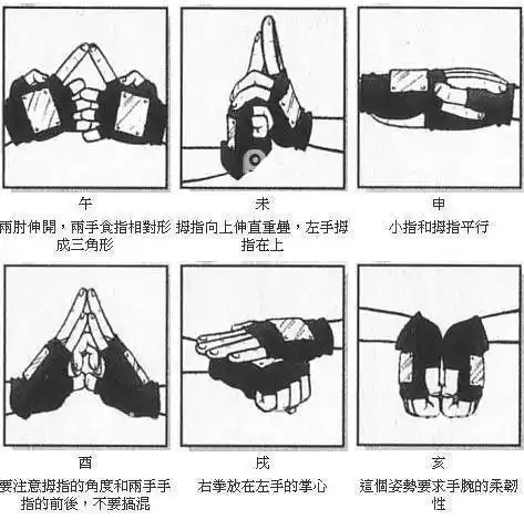 火影|火影忍者|海贼王|龙珠|太阳拳_网易订阅