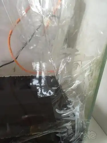 尴尬.鱼缸裂了!