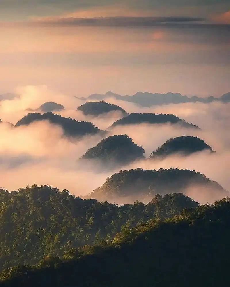 真正的爱情是一见钟情9595929395.