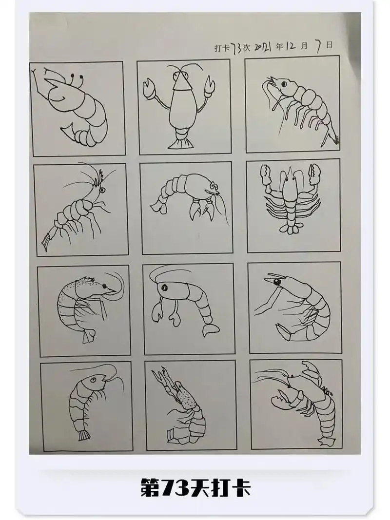 第73/100天打卡,简笔画临摹一组虾 虾(shrimp)