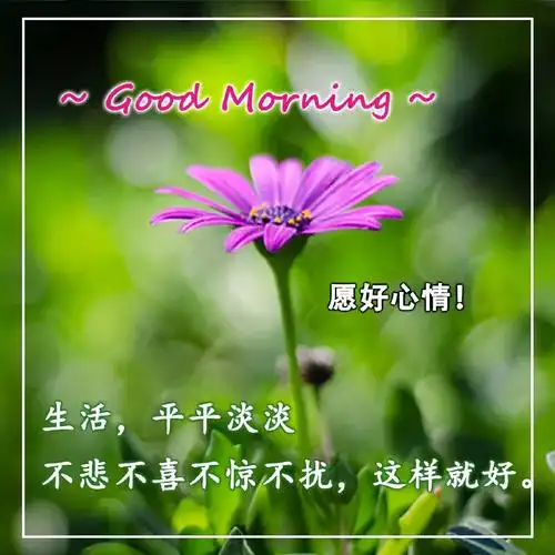 最新秋天早上好动态图片早安暖心话愿你烦恼莫沾幸福无边