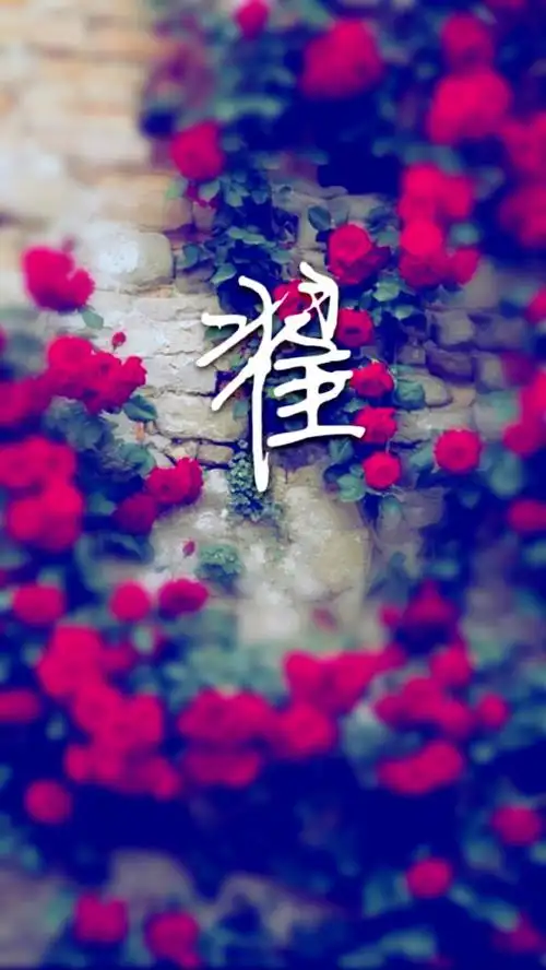 姓氏壁纸 iphone壁纸 翟