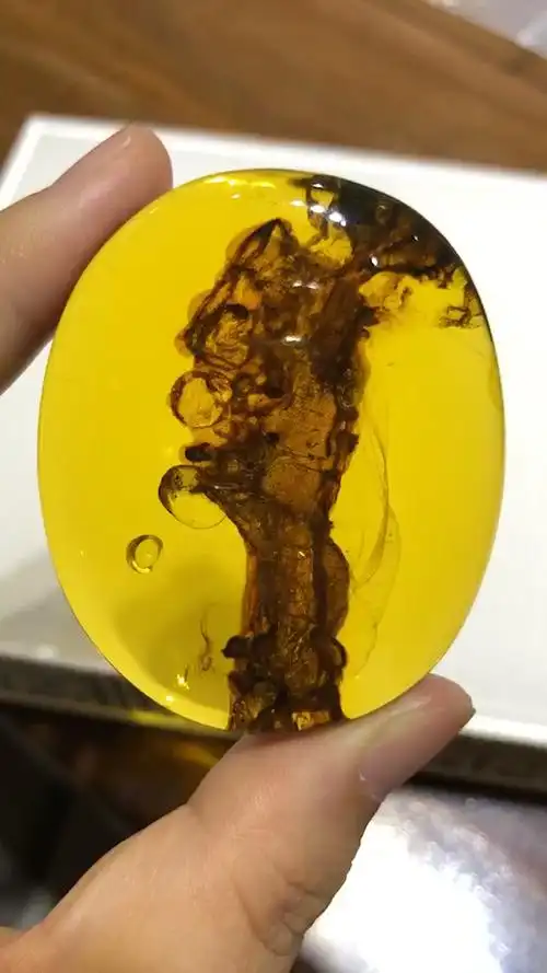 完美植物珀 发财树 缅甸琥珀的魅力