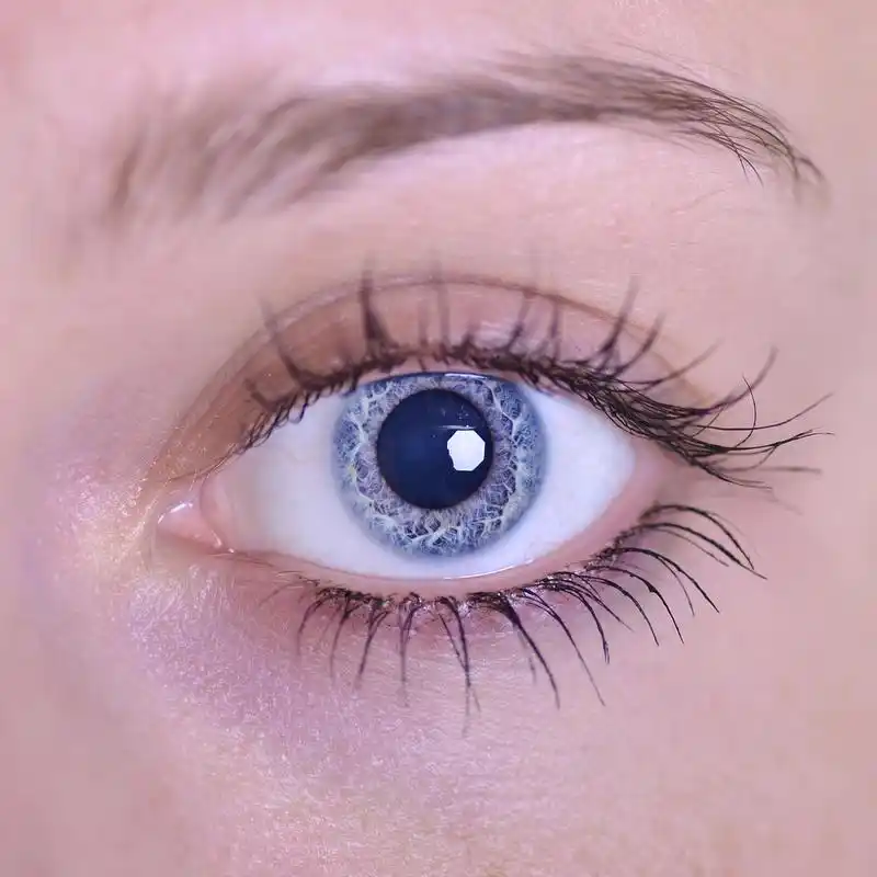 眼睛,人类眼睛的宏观图像