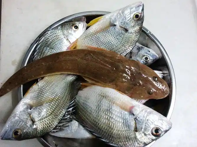 20:沙角空军部队 - 钓鱼部落-钦州360网 - 讲述老百姓身边的故事!