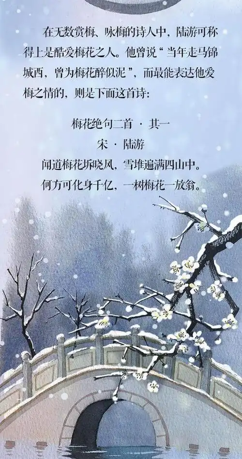 小寒长卷丨梅花先趁小寒开,到诗词里踏雪寻梅