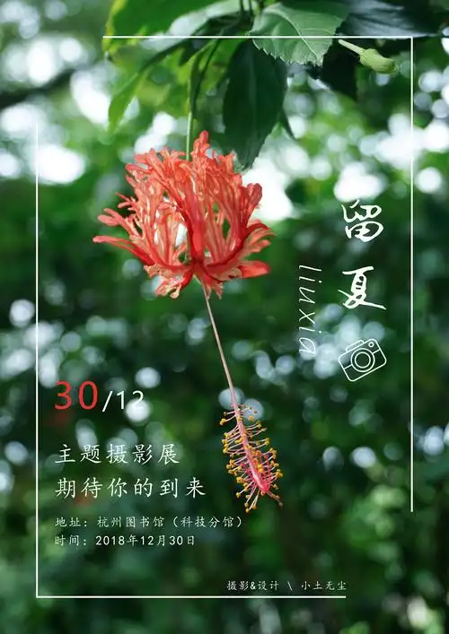 一张照片做一张海报