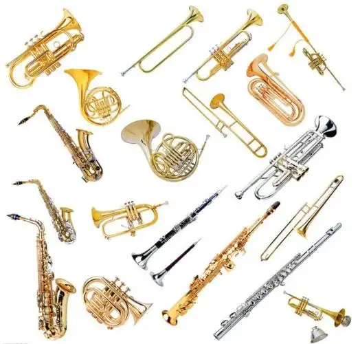 管弦乐器回收_收购管弦乐器 - 琴回收