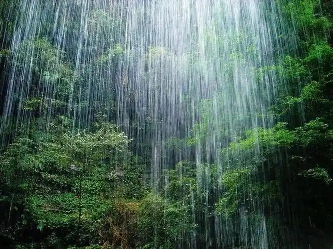 碧 峰 峡美食推荐:虹鳟鱼,西岭炖肘子,大邑五香豆腐乳门票:西岭雪山