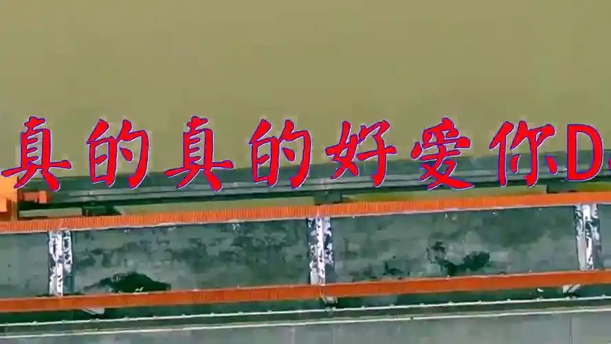 赵真,dj何鹏的《真的真的好爱你dj》,声音优美,超好听