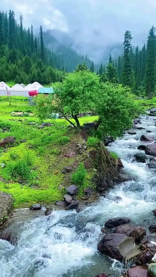 乡村美景#静下心,闭上眼静静的聆听水声鸟叫,享受下大自然的气息