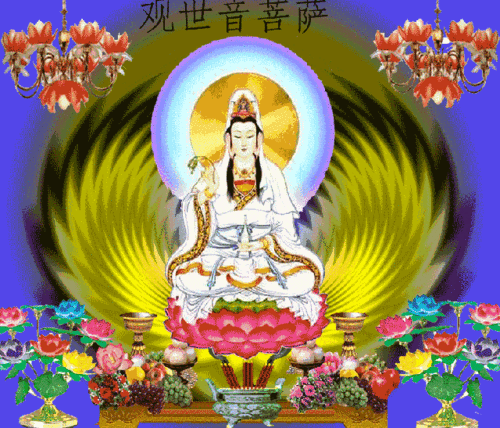 640_548gif 动态图 动图