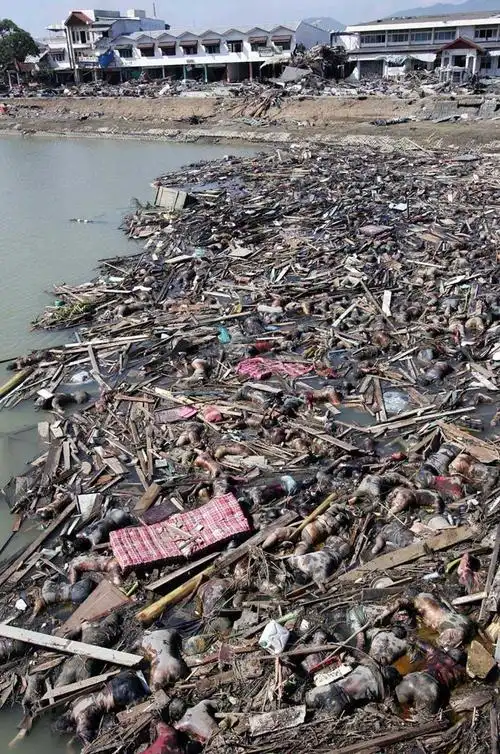 海啸照片好恐怖你可见过