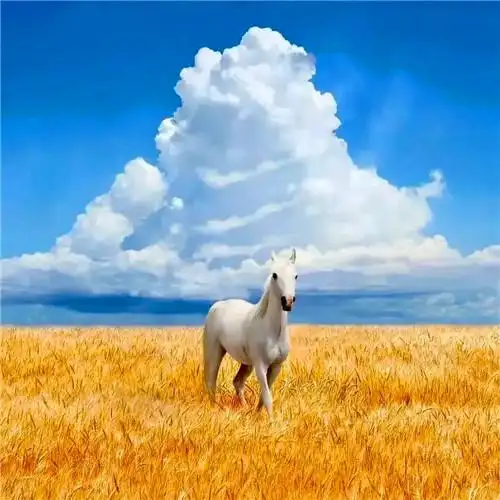 爸爸们爱用的头像 高清适合40岁以上父亲用的头像图片_微信头像_头像