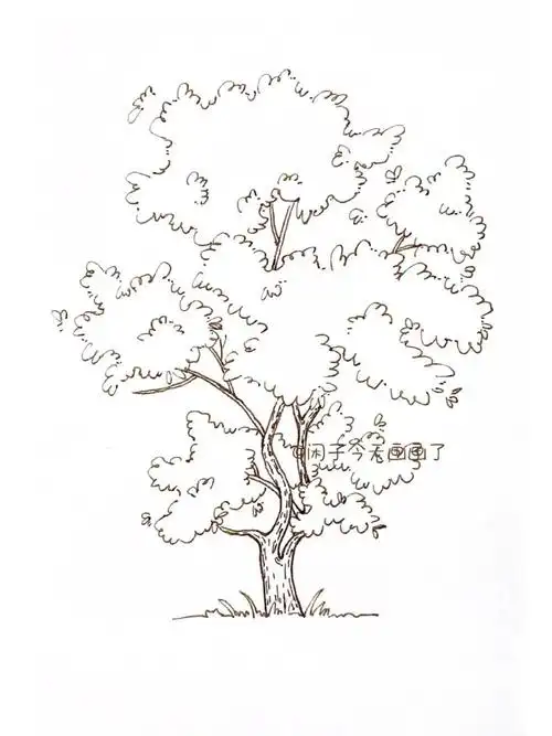 钢笔淡彩线稿-6 | 小场景 | 大树