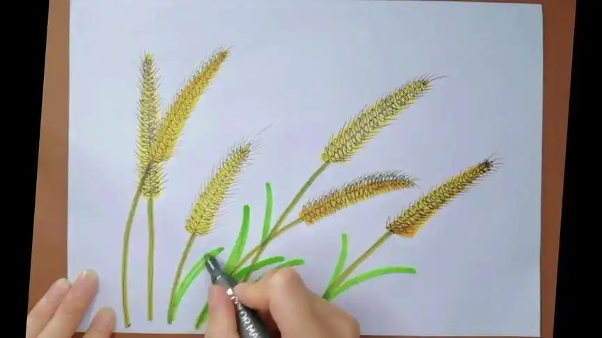 创作灵感 小麦麦穗简笔画创意画#简笔画 #一起学画画 #创意美术