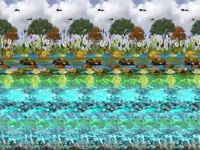 六:水里有龟和鱼