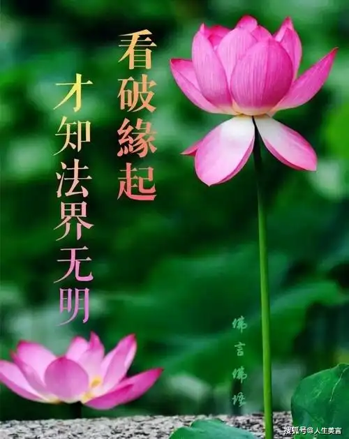 一句佛语点透人生,心灵禅语经典语录