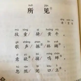 古诗背诵第五十七首所见