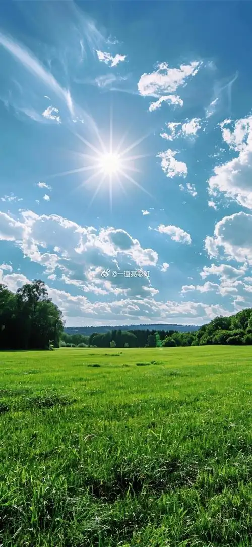 蔓延在山坡草地的绿色春光#情侣头像##女生头像##电脑壁纸##可爱头像