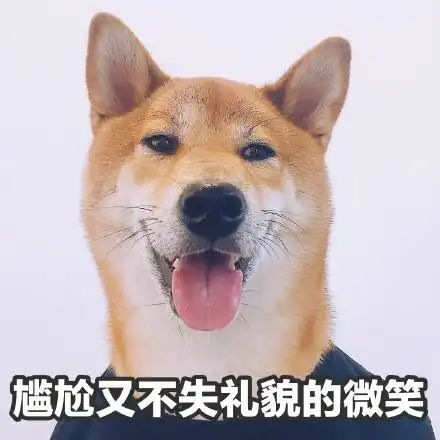 而不失礼貌的微笑保持微笑憨憨呆萌gif动图_动态图_表情包下载_soogif