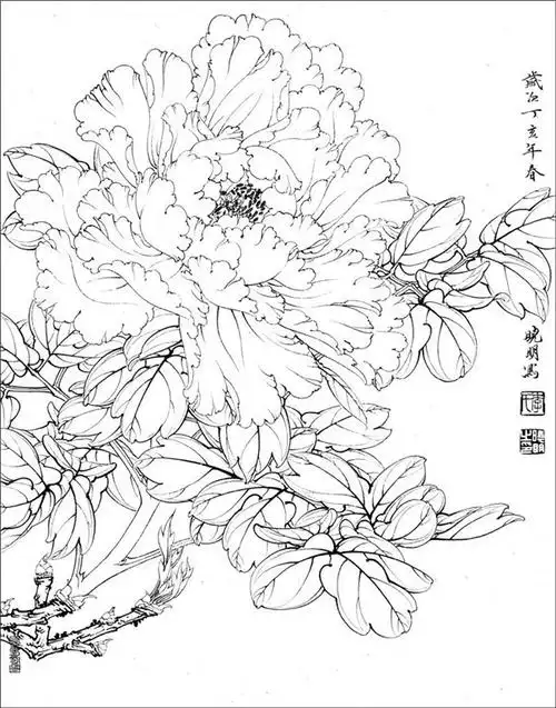 国画家李晓明工笔白描花鸟稿60p