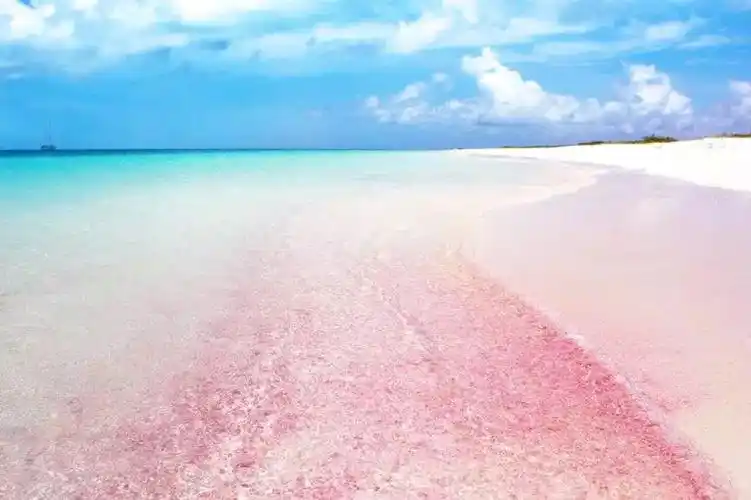 巴哈马哈勃岛的粉色沙滩