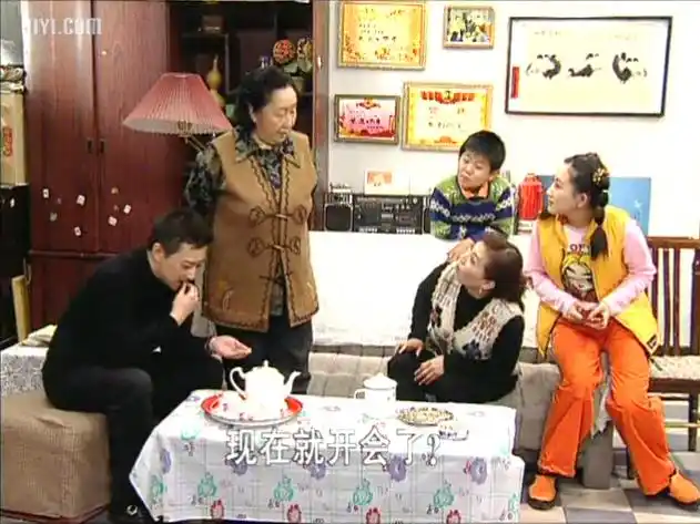 大型电视情景喜剧东北一家人20片装(vcd)