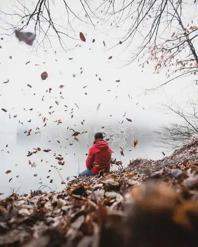 落叶,背影,在路上