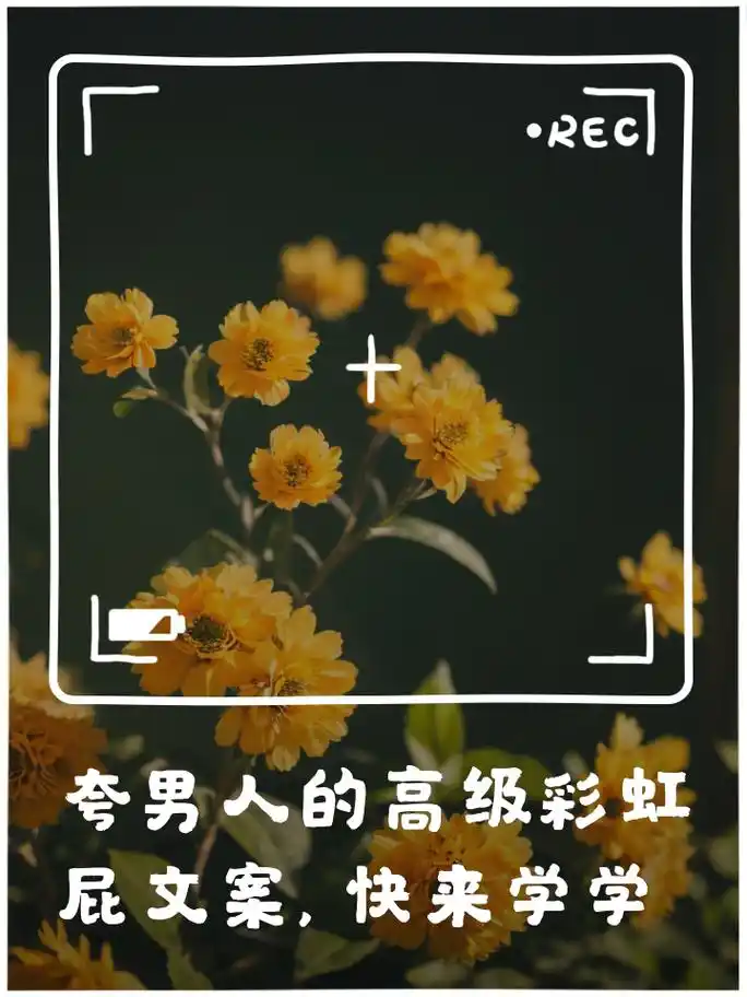 夸男人的高级彩虹屁文案,快来学学 1.