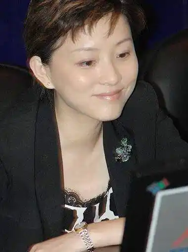 小锵,告诉你一个真实的杨澜(上)_吴征_经历_人生