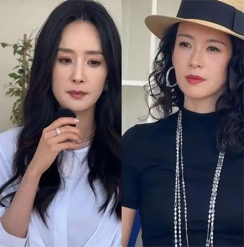 没有演技一切都是浮云杨幂开始走下坡路是从什么时候开始的呢?