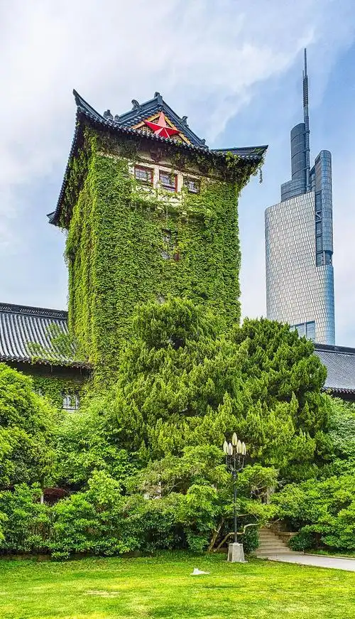 如何看待段春迎教授在大连理工工作多年后选择重返南京大学