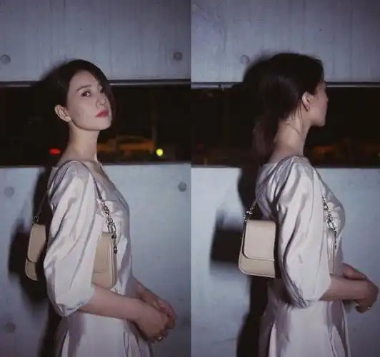 照片中,高圆圆穿着一条文雅的长裙,简单的低马尾发型掩盖不了他优雅的