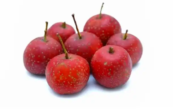 山楂球能完好保存多久,如何制作山楂球