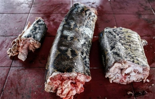 印尼菜市场处处都是可怕的食物,空气里弥漫着"死亡气息"