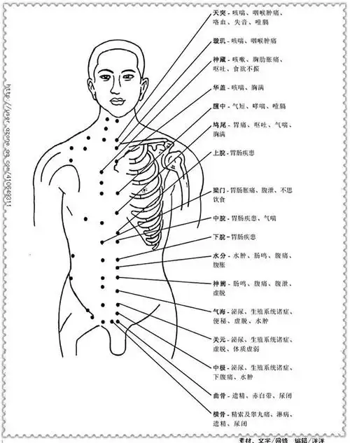 各经络疼痛部位详细分布图  值得收藏>