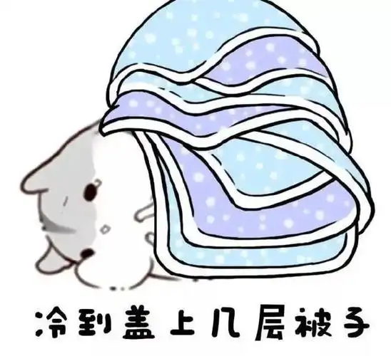 没白冷!_腾讯新闻