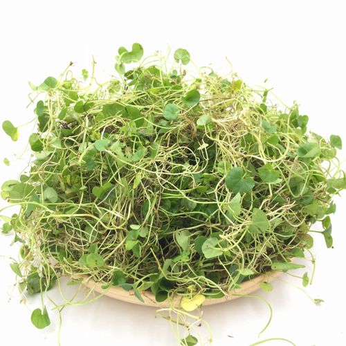 【小叶金钱草 】四川小叶金钱草 1000克【图片 价格 品牌 报价】-京东